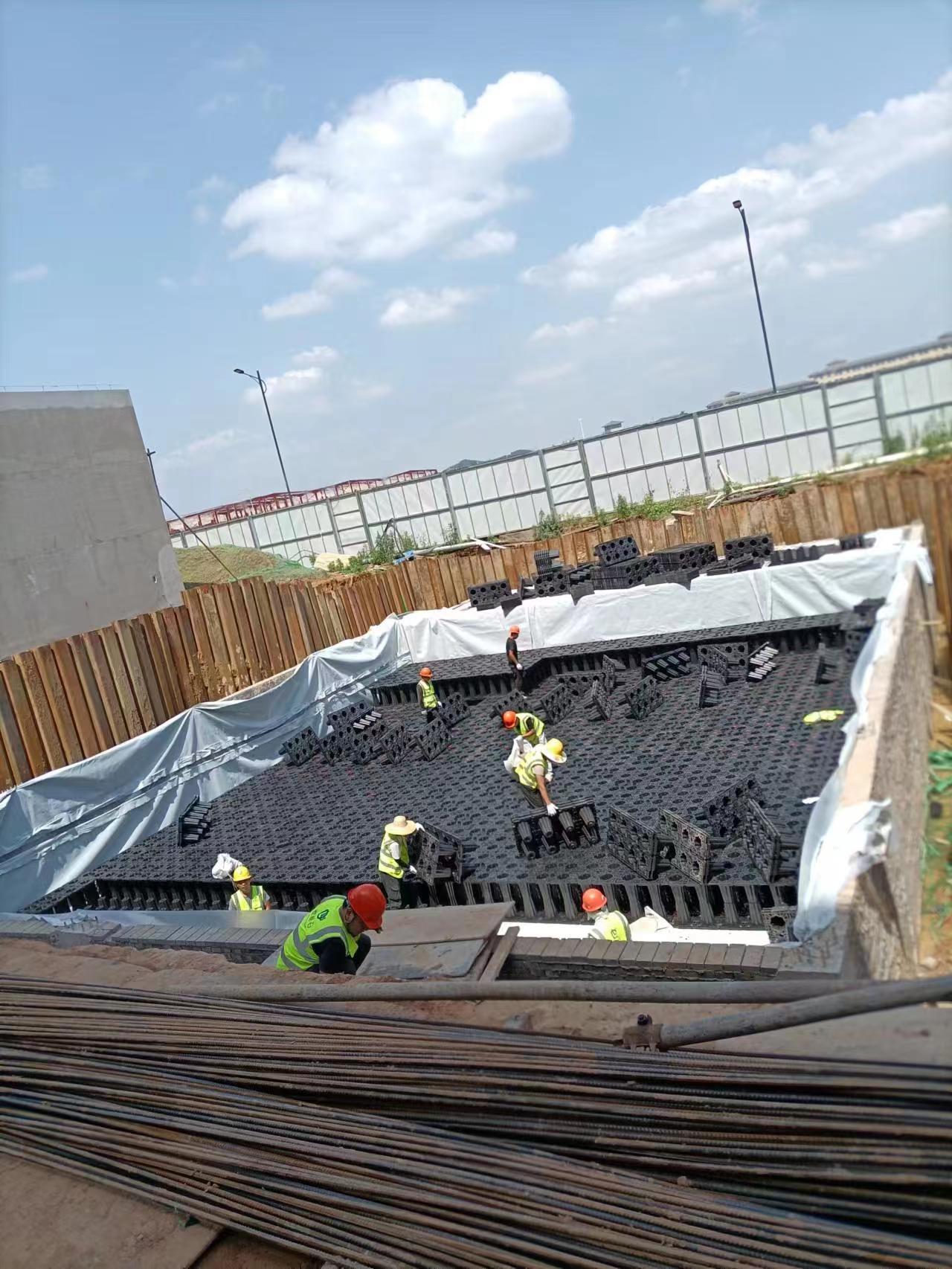 1687310162736003.jpg 6.jpg