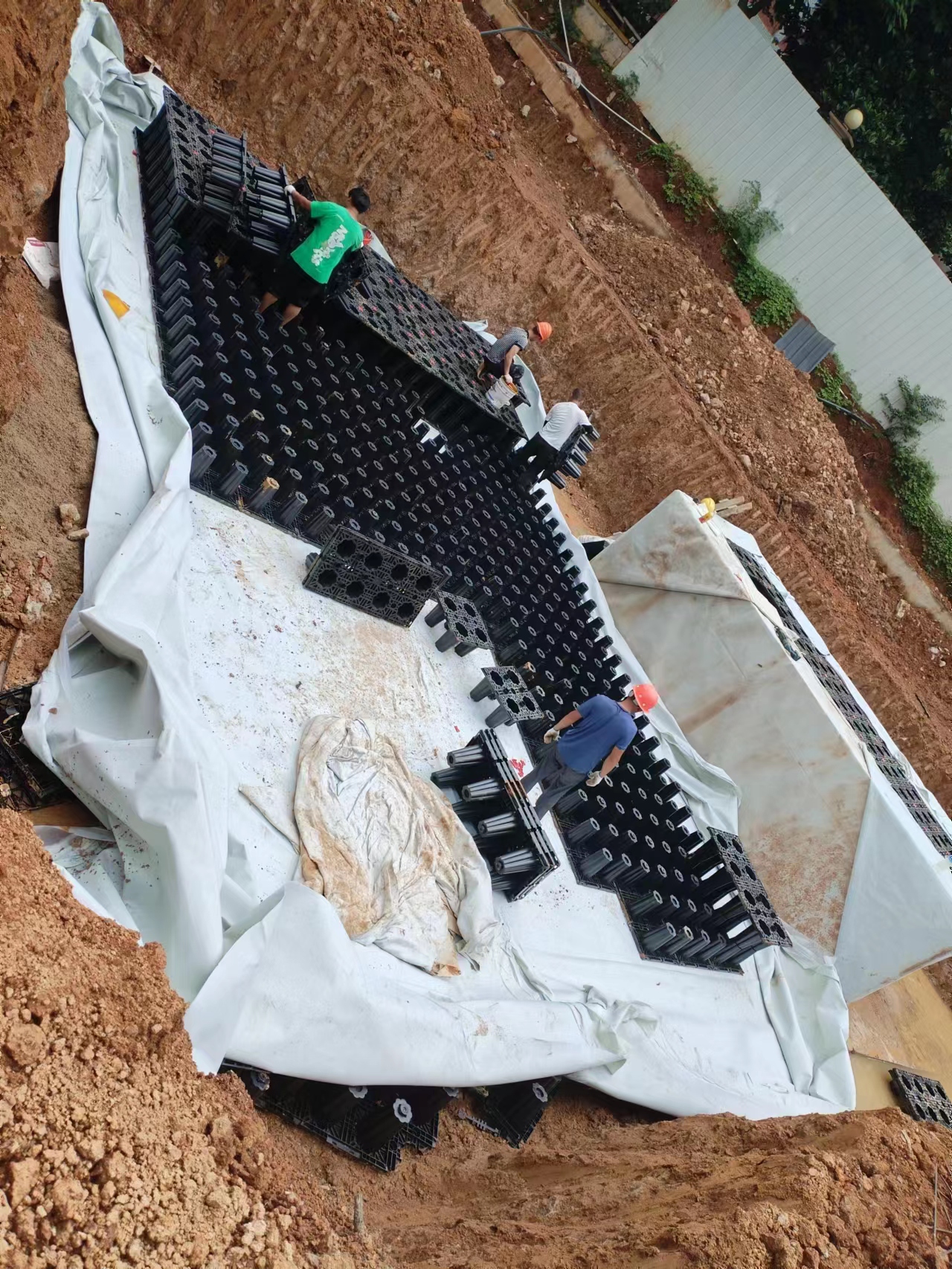 1687918591147242.jpg 3.jpg