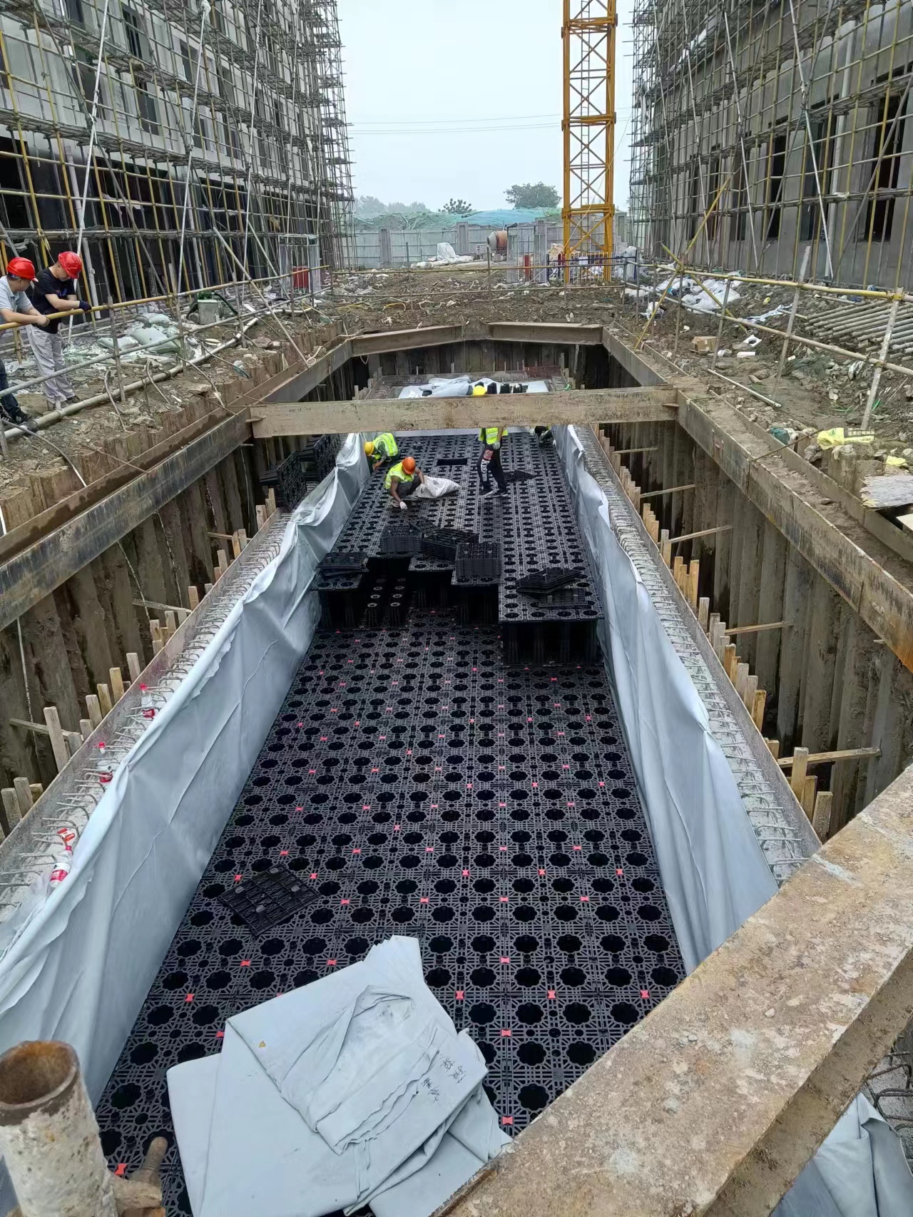 1689817684129779.jpg 3.jpg